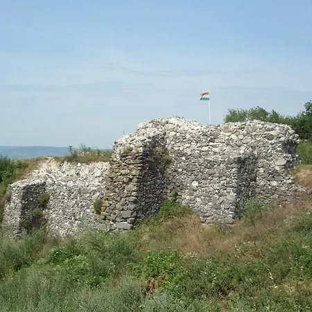 Διαμέρισμα Hegyalja Vendeghaz *